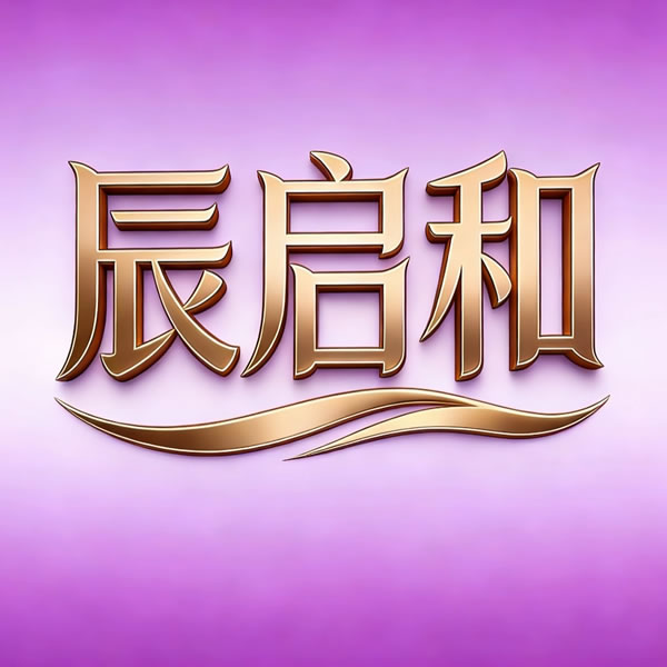 辰启和场导仪logo